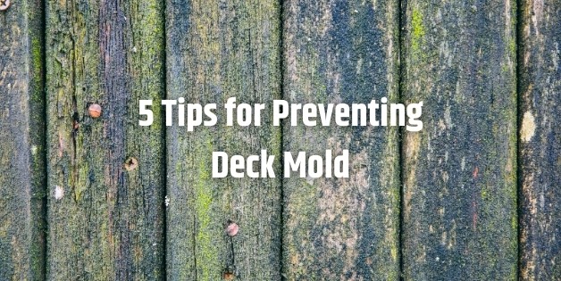 5 Tips for Preventing Deck Mold