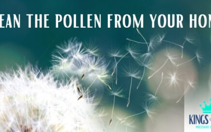 Clean the Pollen from Your Home