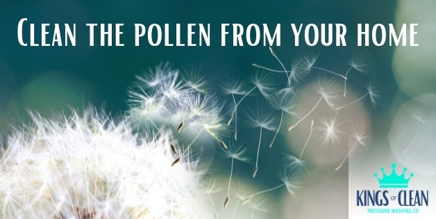Clean the Pollen from Your Home