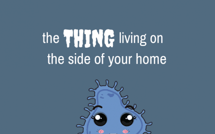 The Thing Living on the Side of Your Home