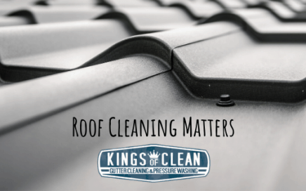 Roof Cleaning Matters