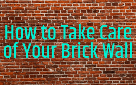 How to Care for a Brick Wall