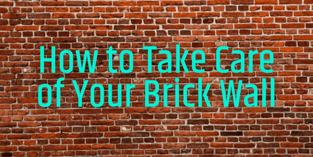 How to Care for a Brick Wall
