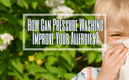 How can pressure washing improve your allergies?