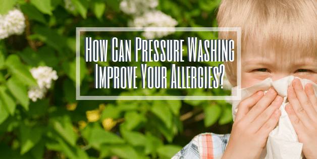How can pressure washing improve your allergies?