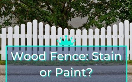 Dealing with Wood_ Fence Staining or Painting