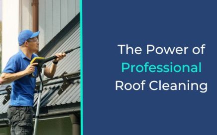 The Power of Professional Roof Cleaning
