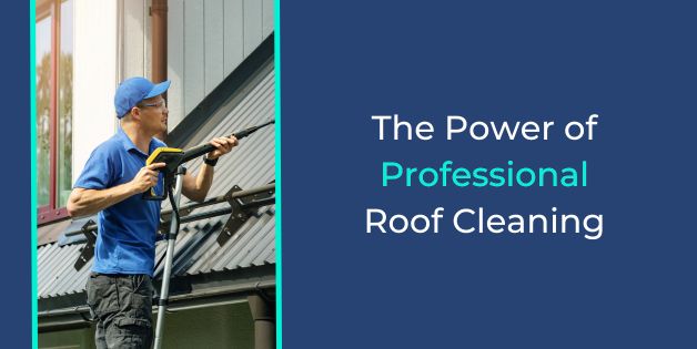 The Power of Professional Roof Cleaning